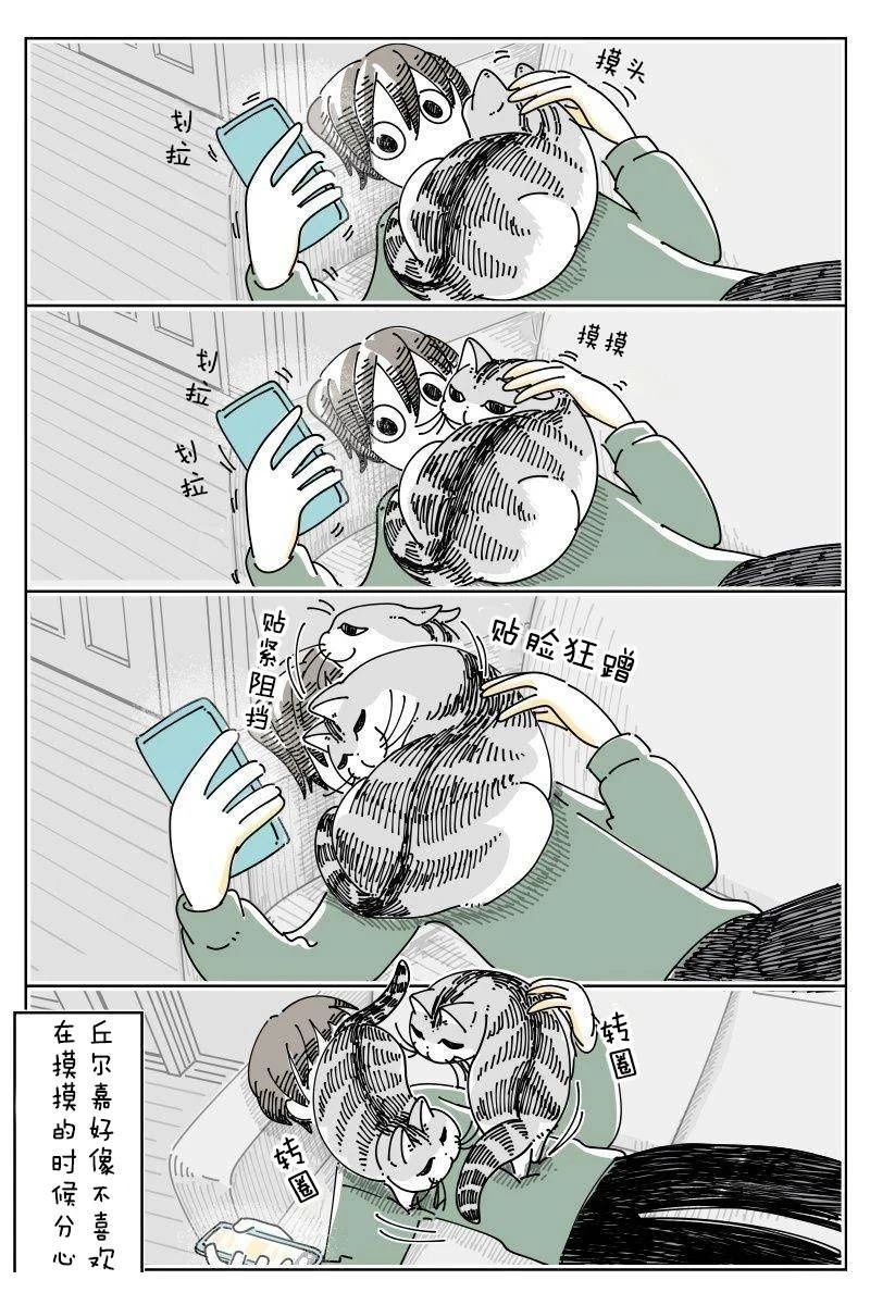第250话