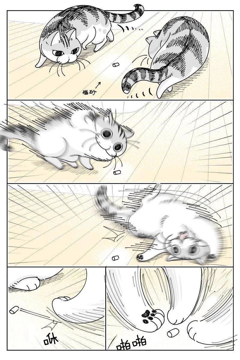 第251话