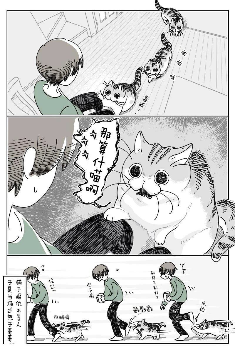 第253话