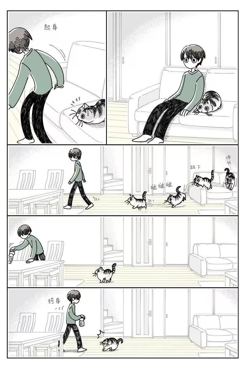 第255话