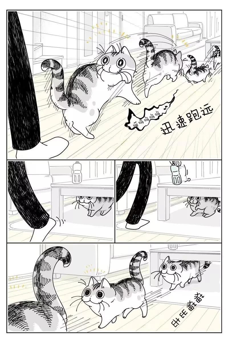 第255话