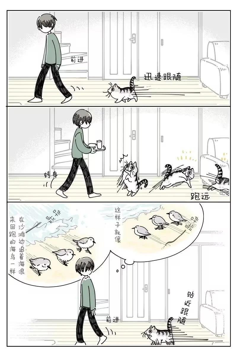 第255话
