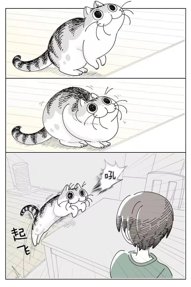 第256话