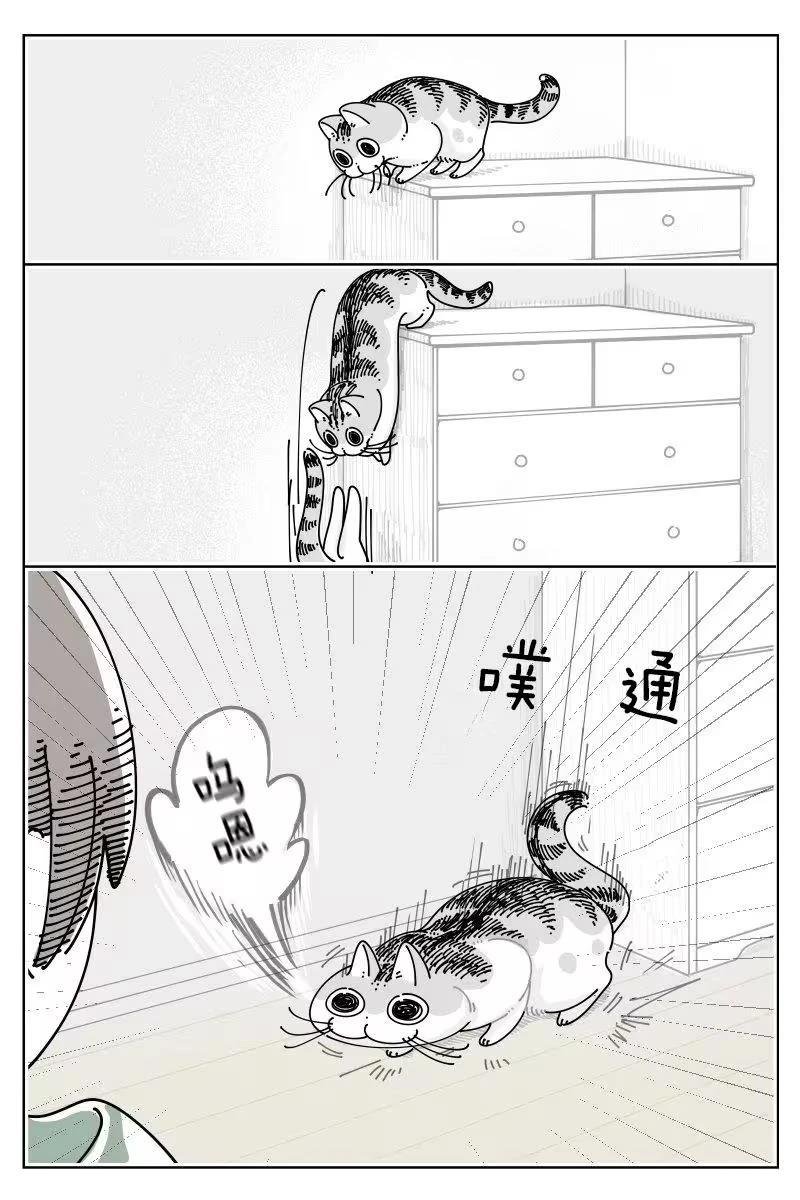 第256话