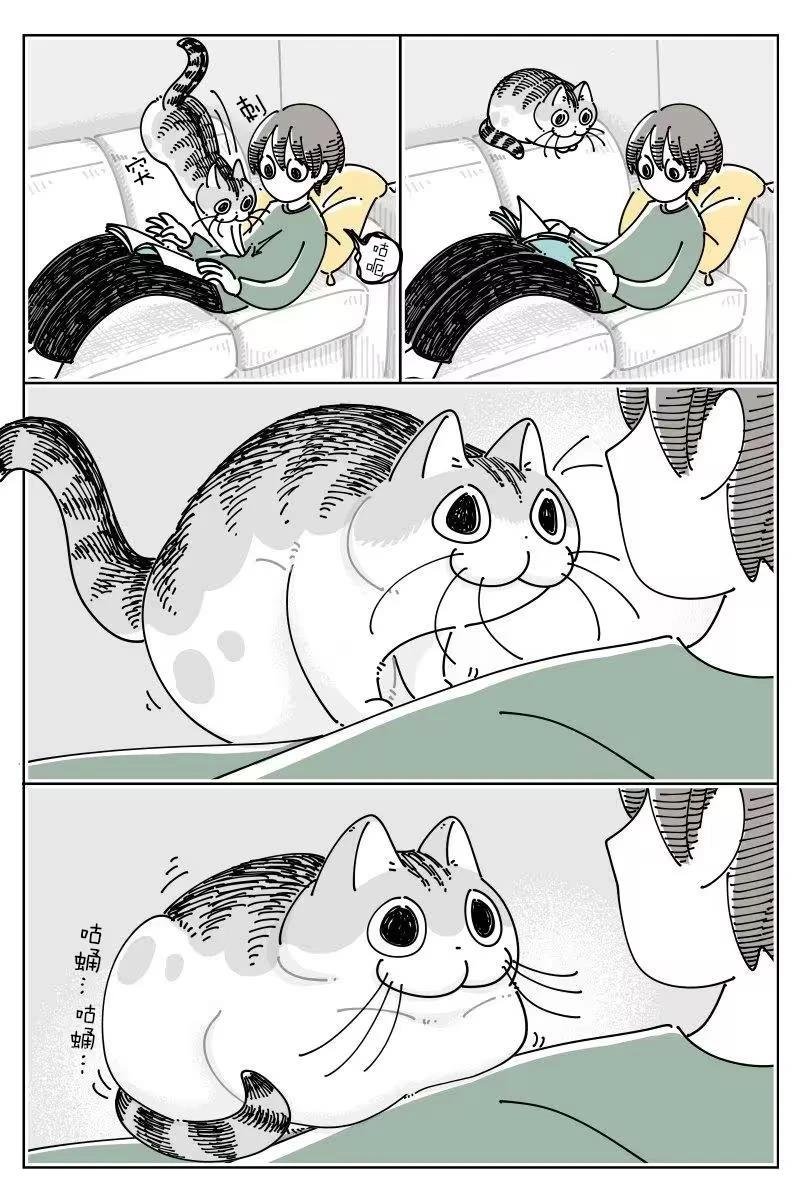 第264话