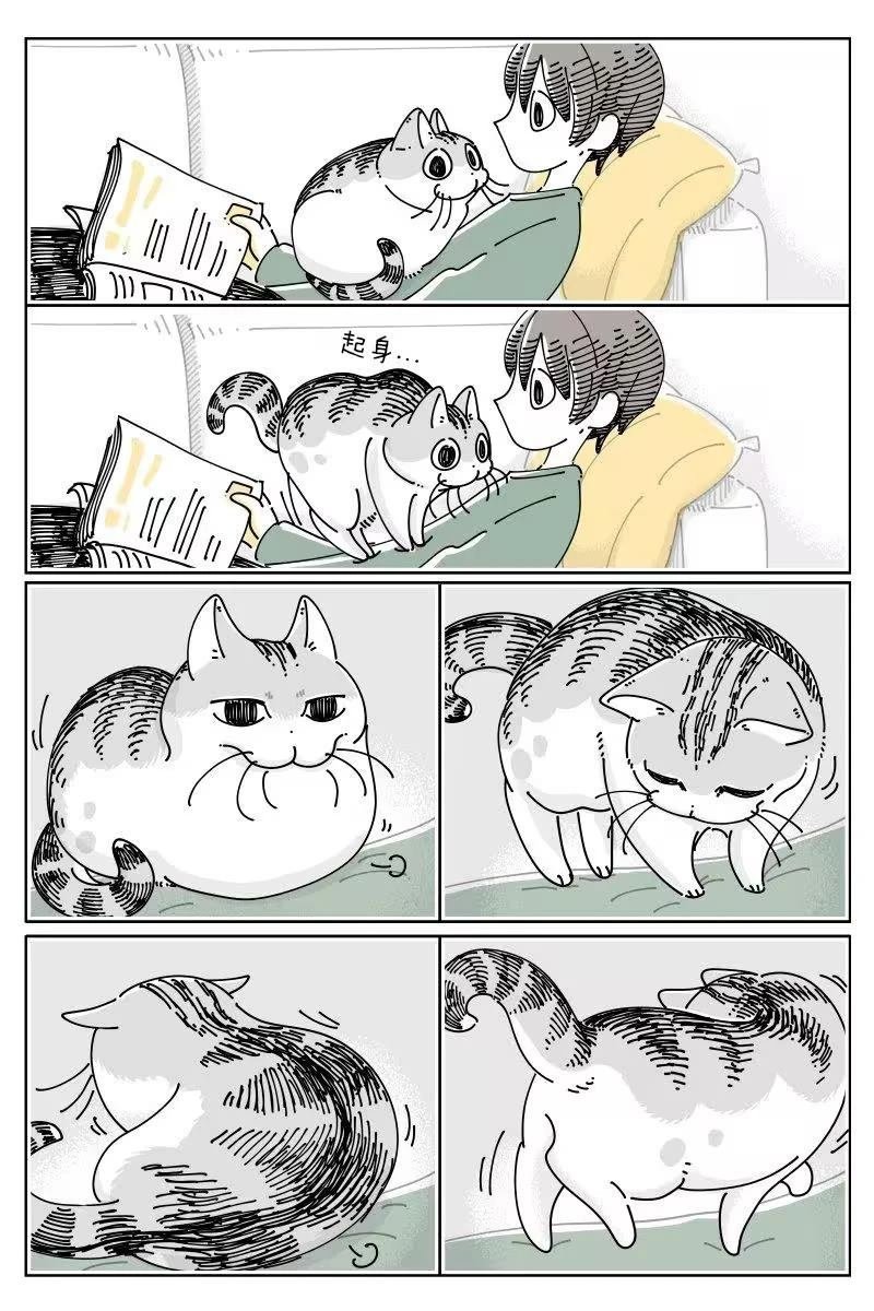 第264话