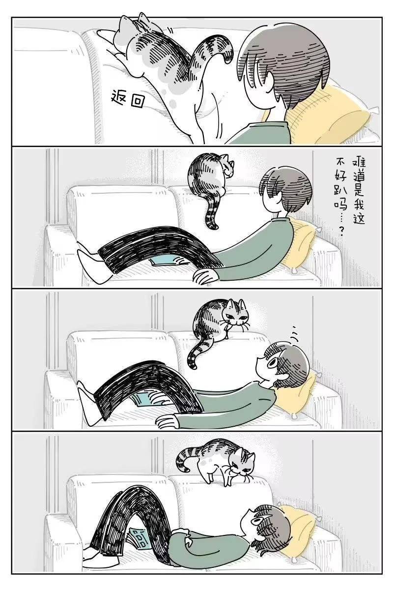 第264话