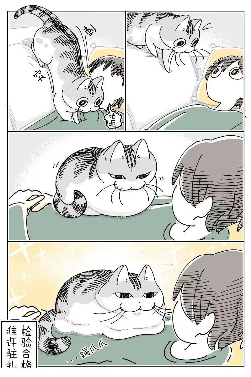 第264话