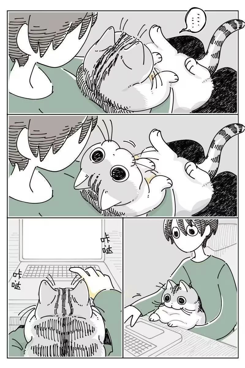第268话