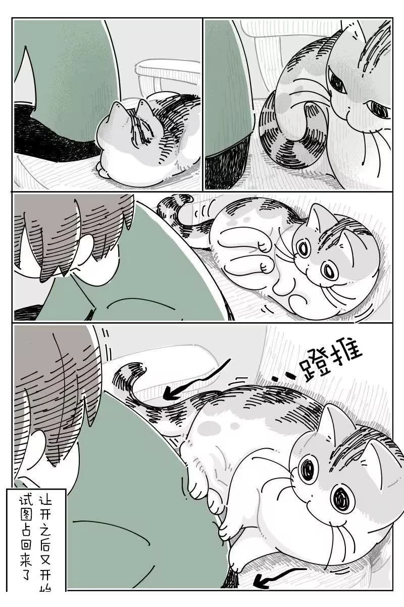 第269话