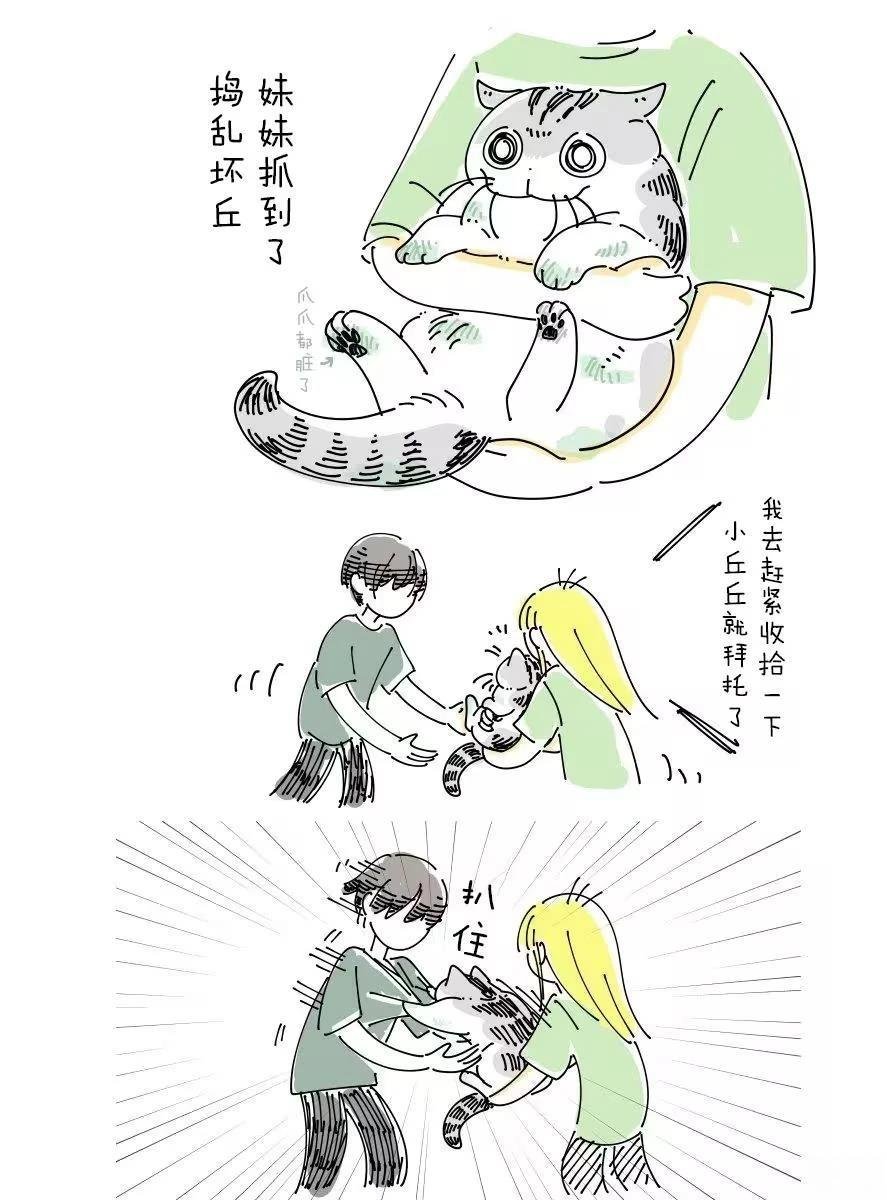 6月挂历彩蛋