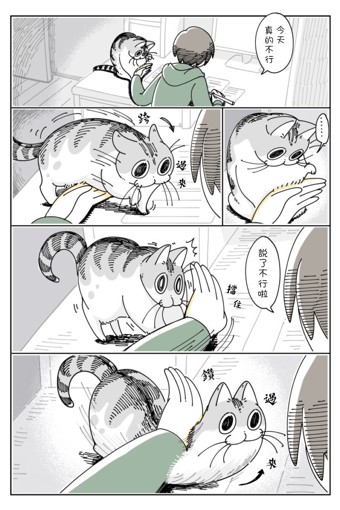 第41话