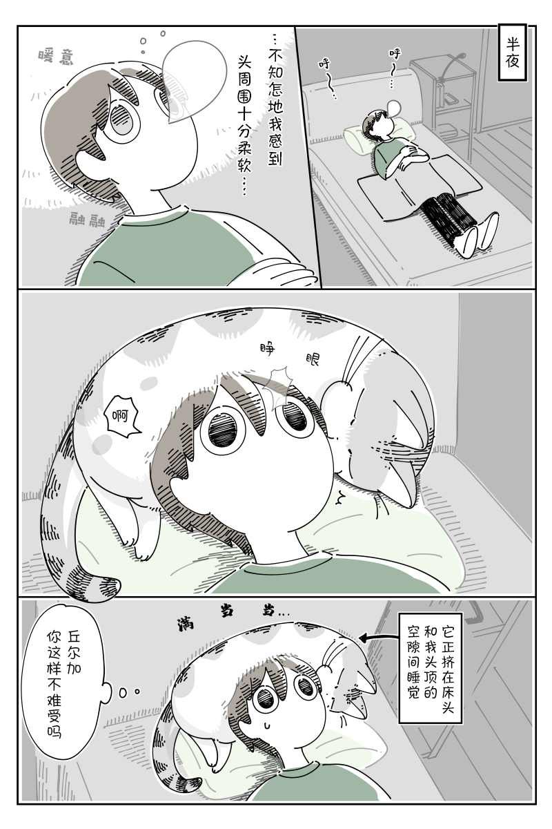 第80话
