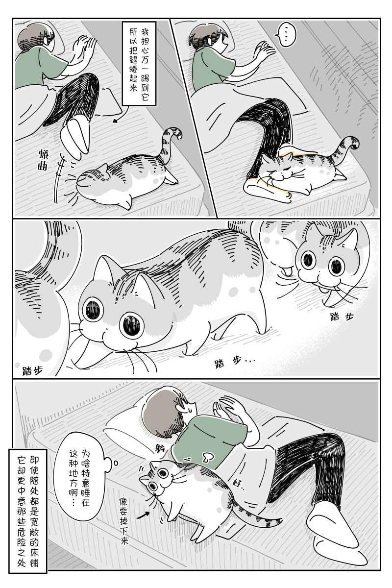 第80话