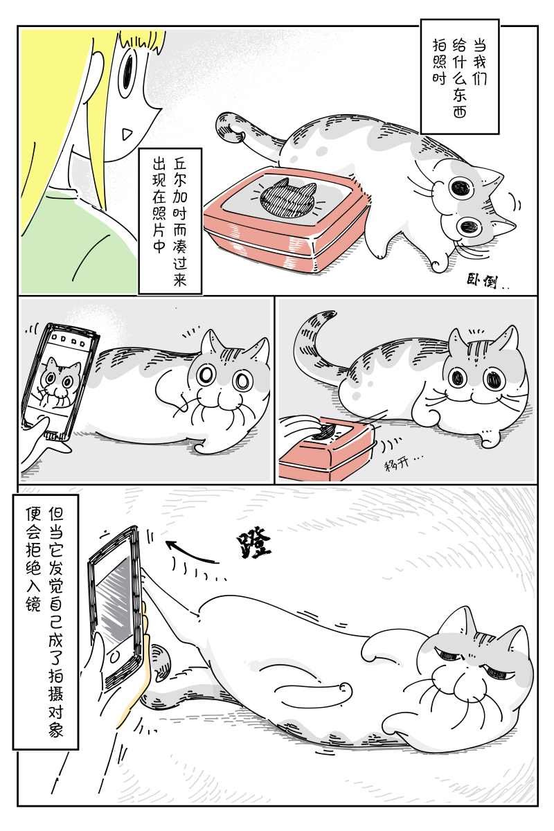 第81话