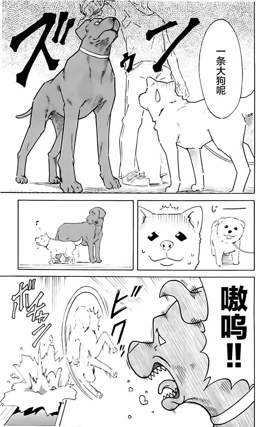 第317话