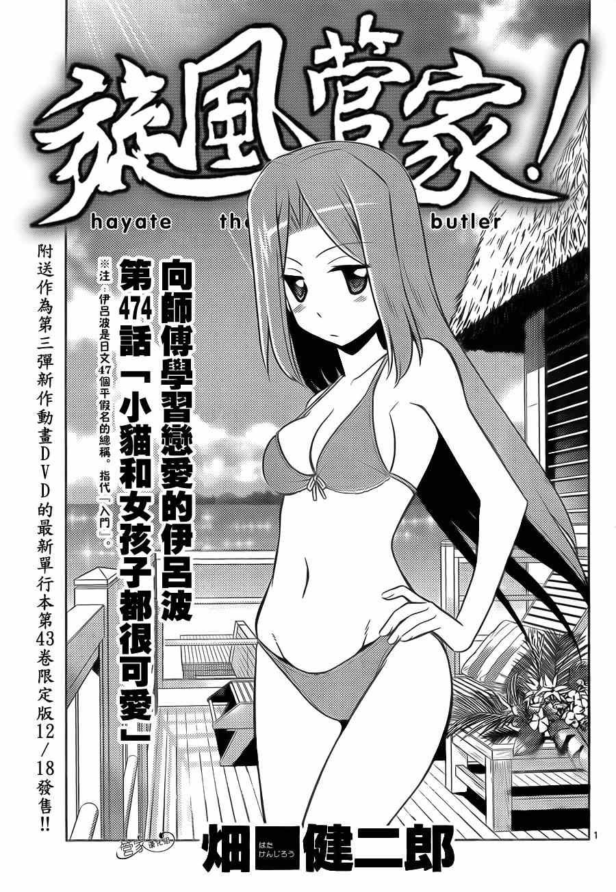 第474话 小猫和女孩子都很可爱