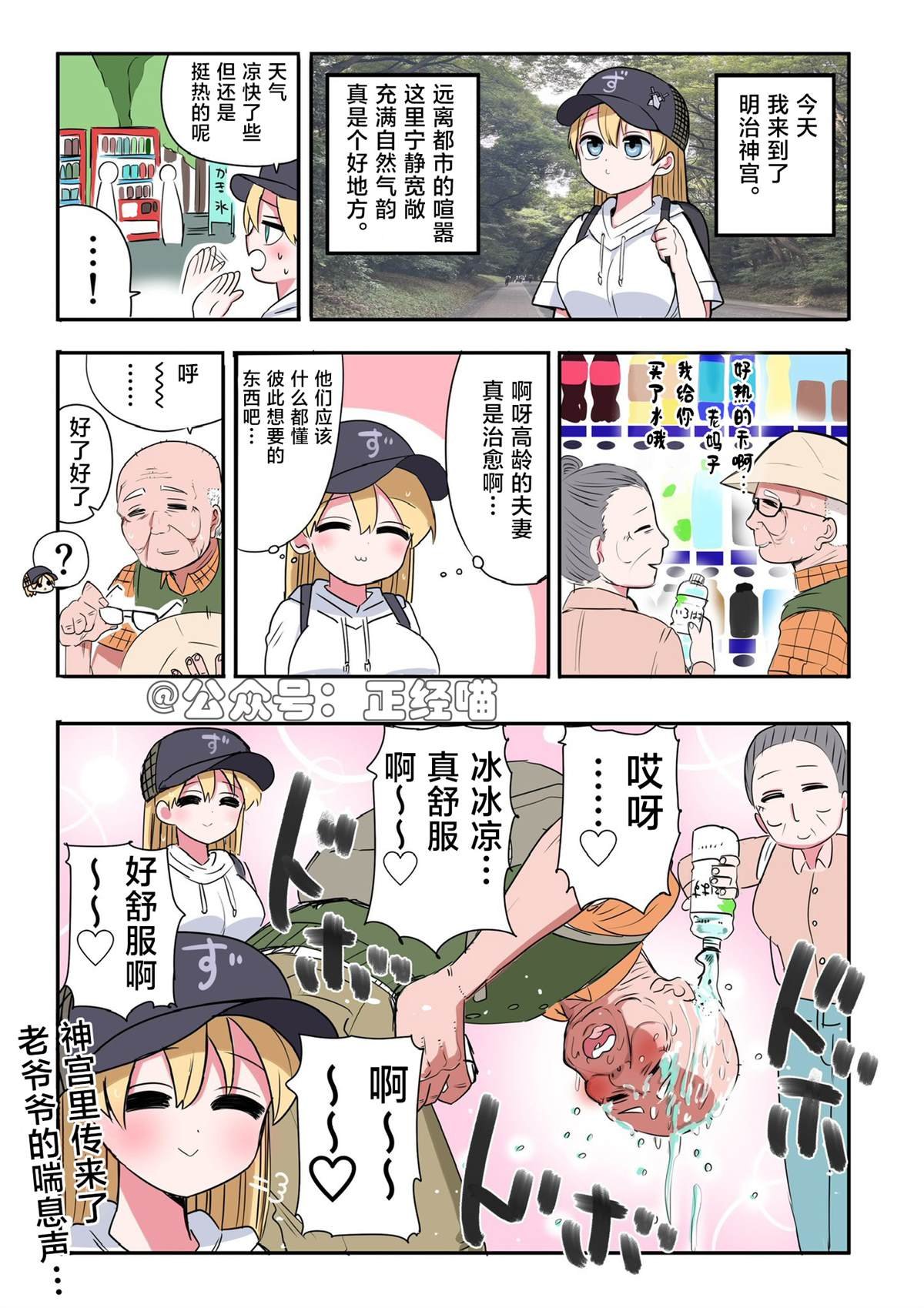 骑士日记 ~夏天的回忆~