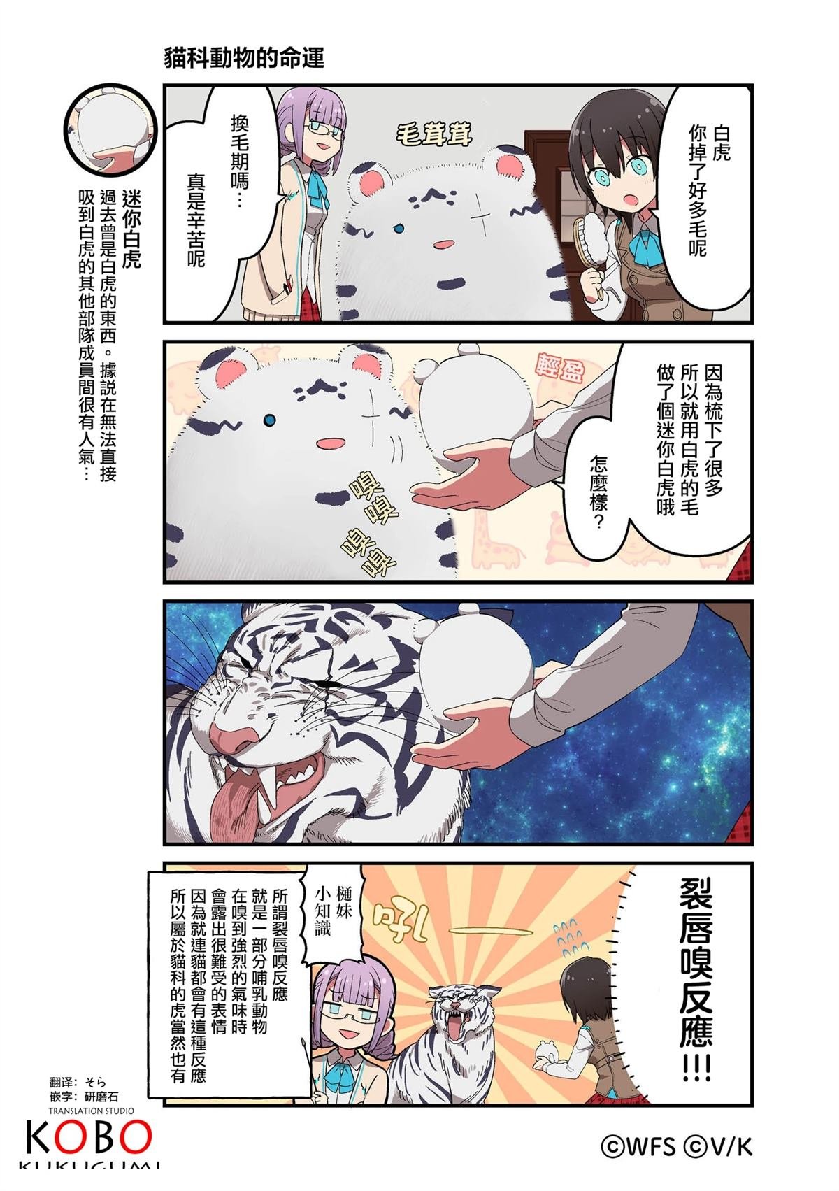第137-149话
