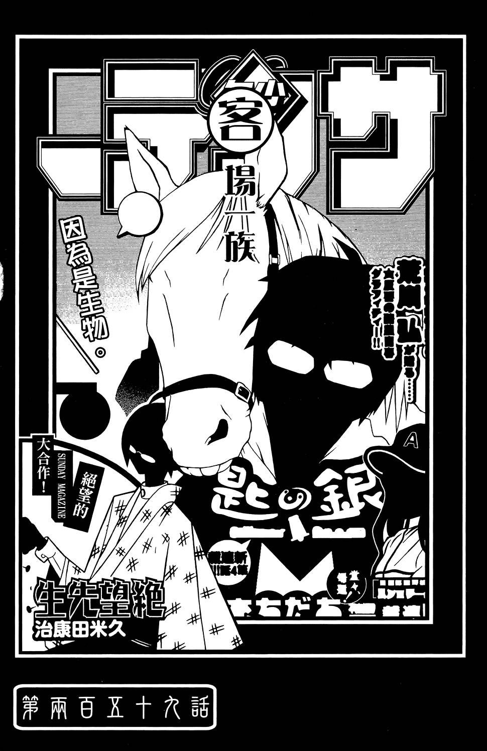 第26卷