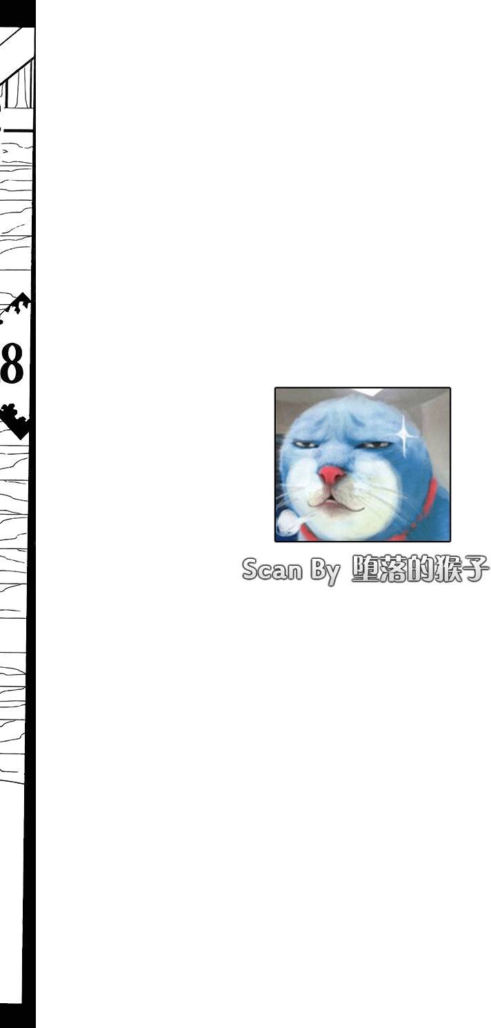 第28卷