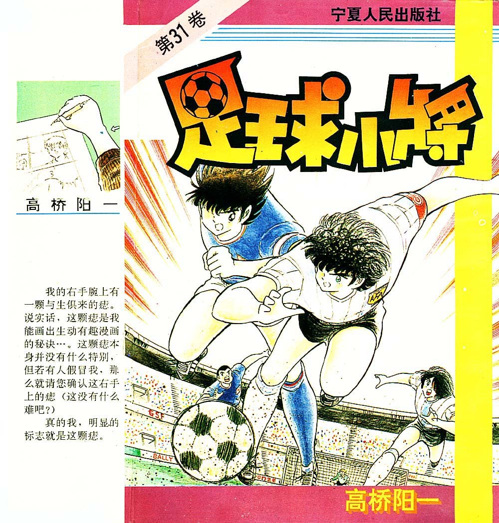 第31卷