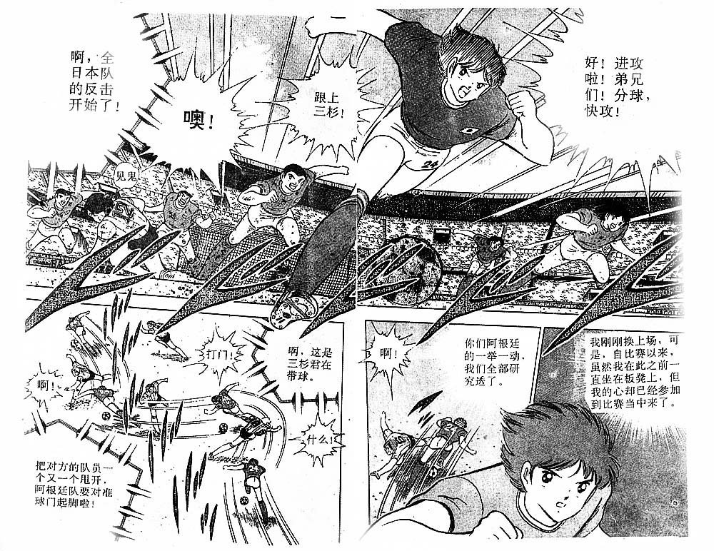 第31卷