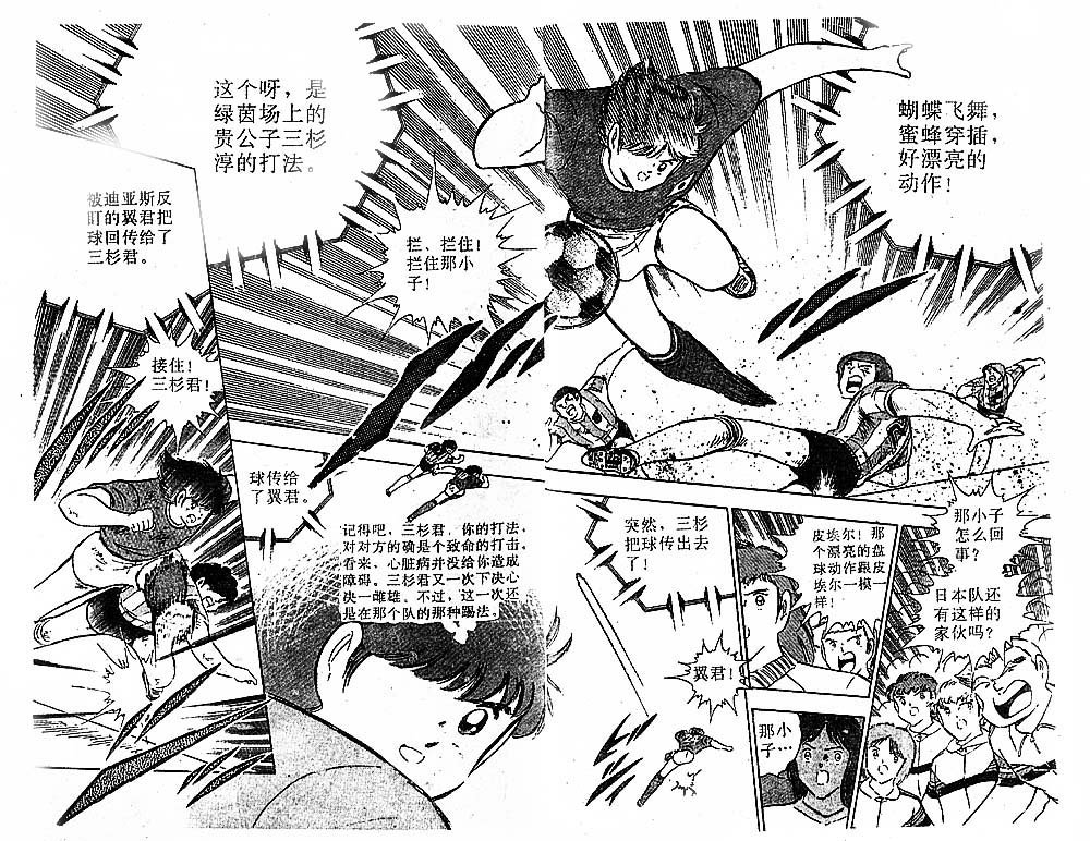 第31卷
