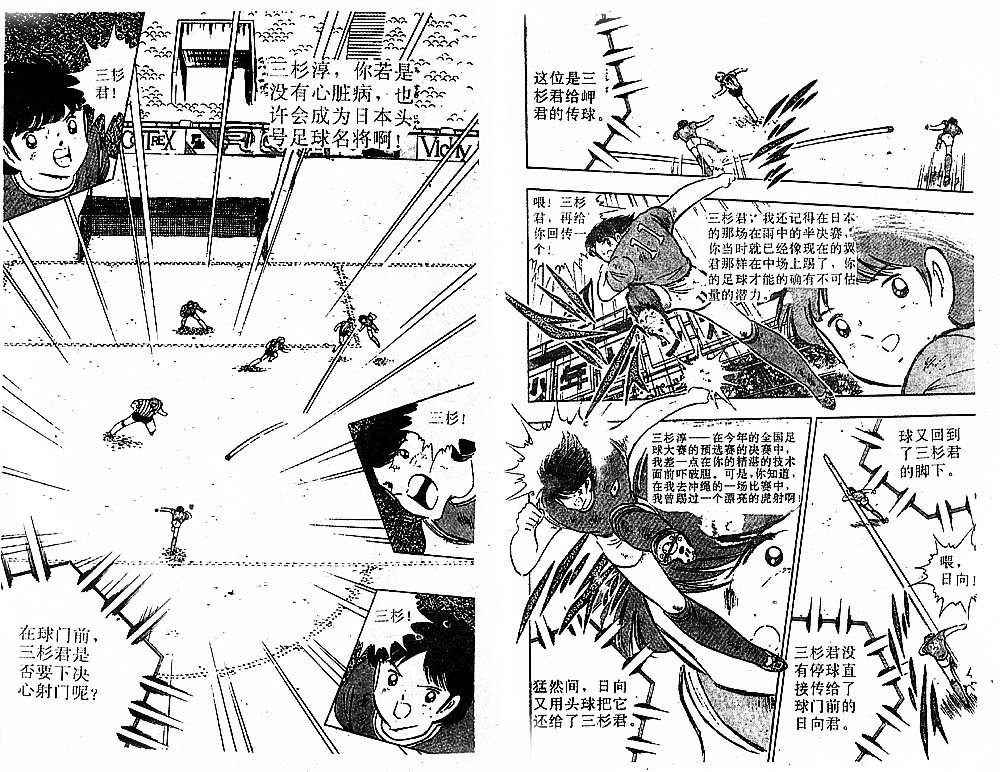 第31卷