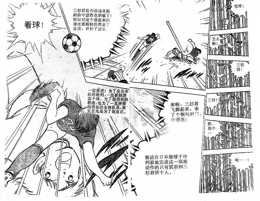第31卷