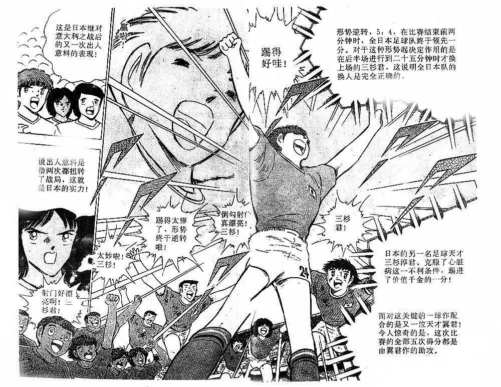 第31卷