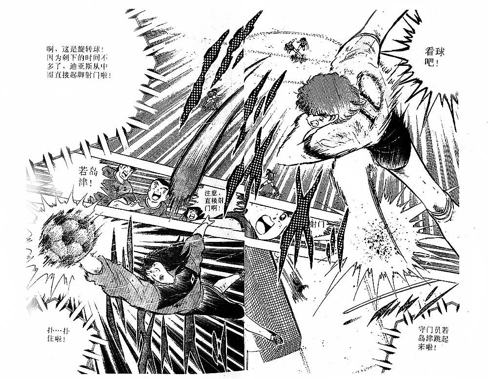 第31卷
