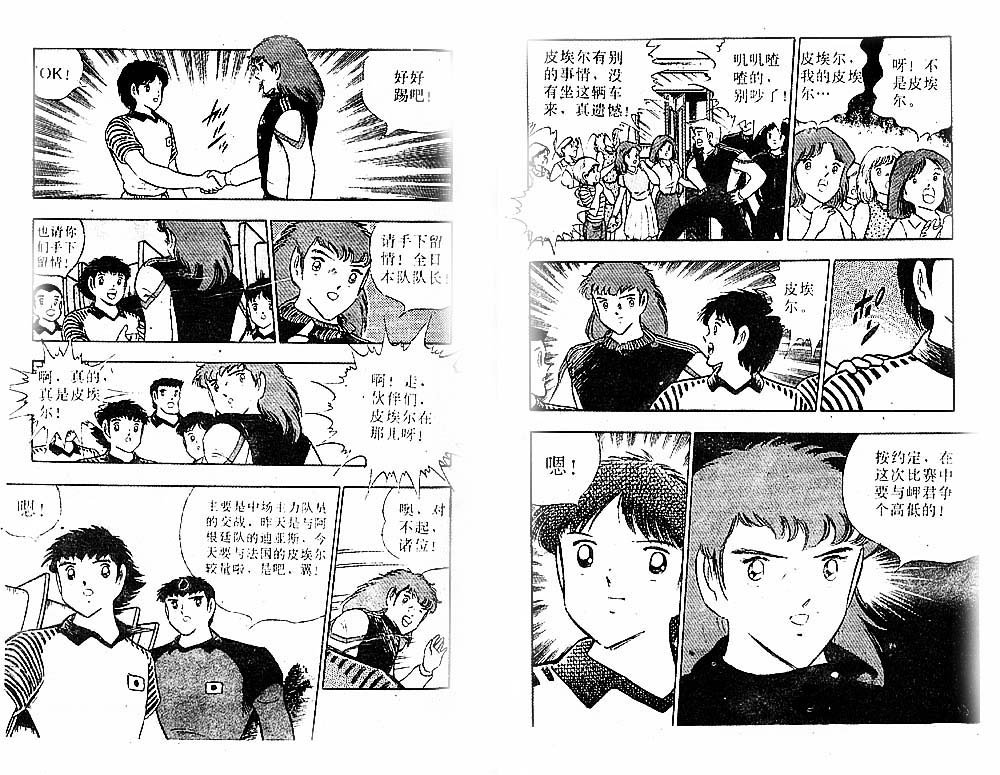 第31卷