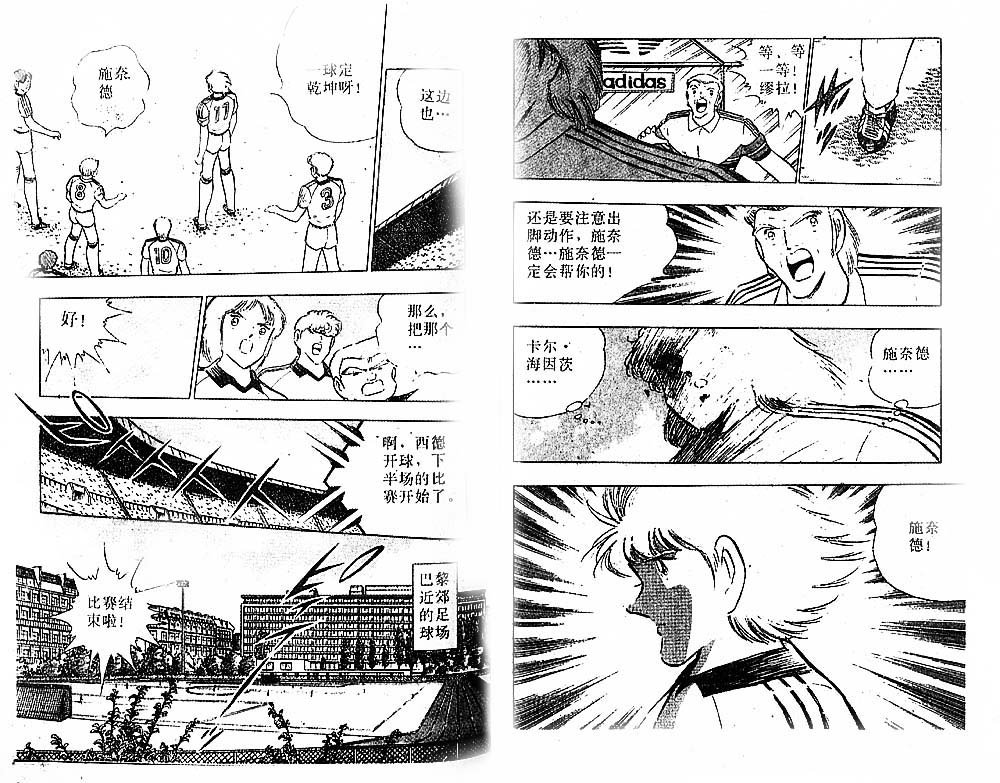 第31卷