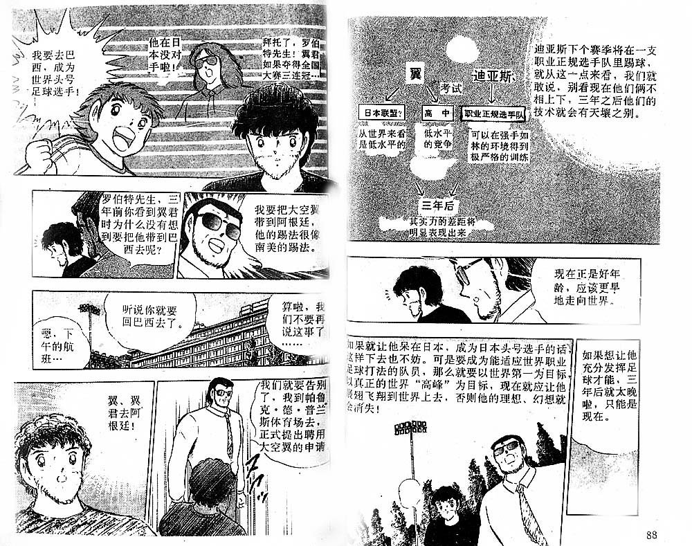 第31卷