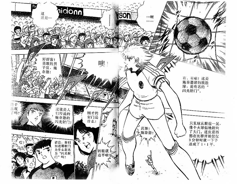 第31卷