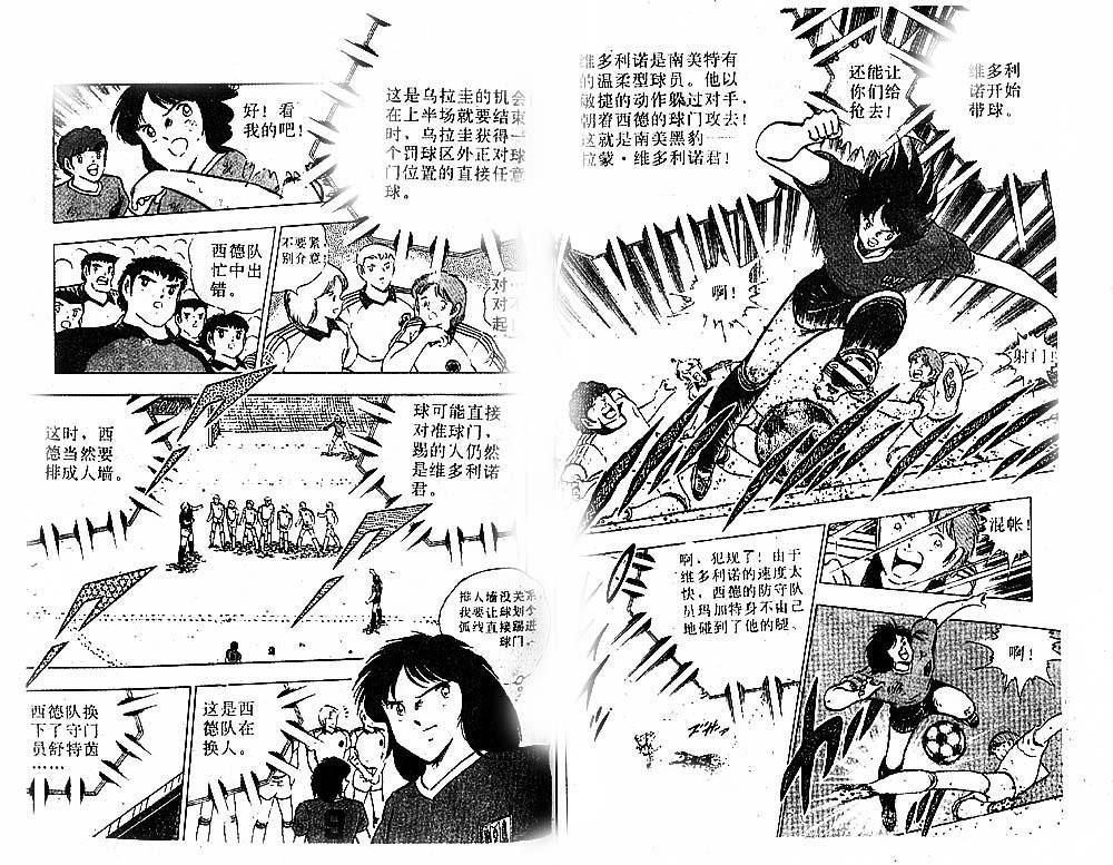 第31卷