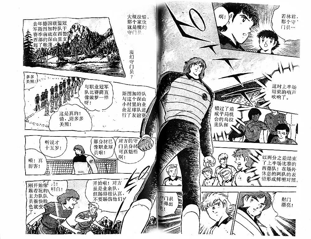 第31卷