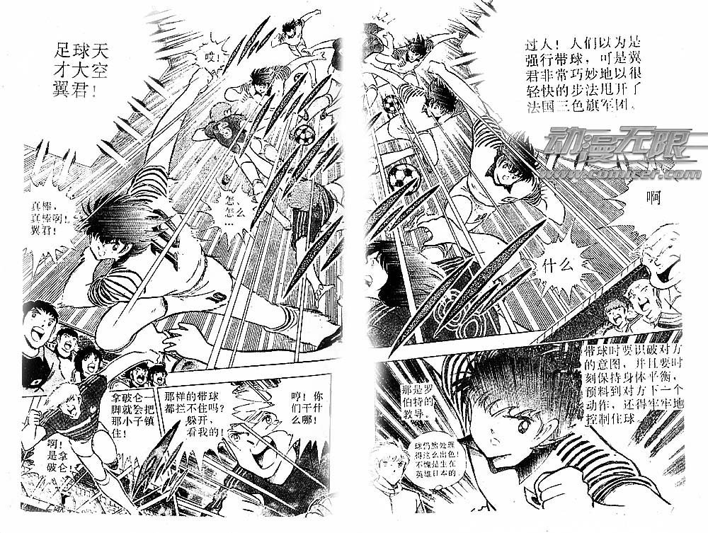 第31卷