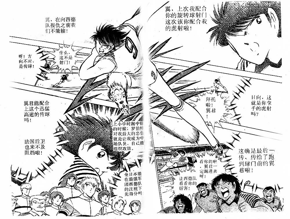 第31卷
