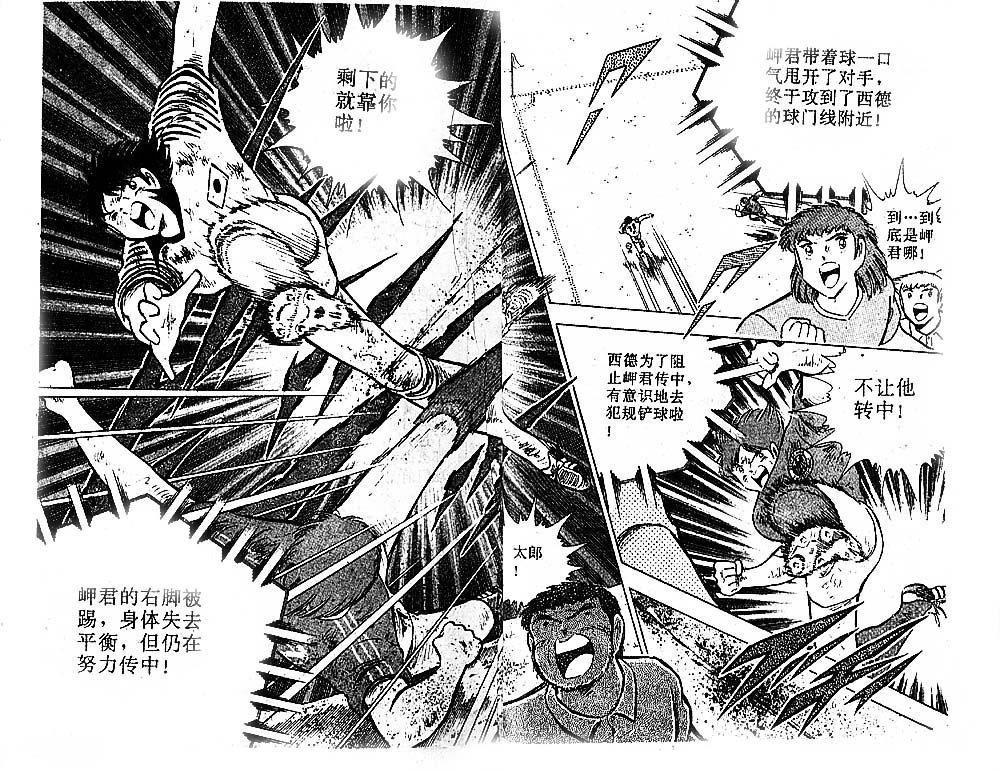 第36卷