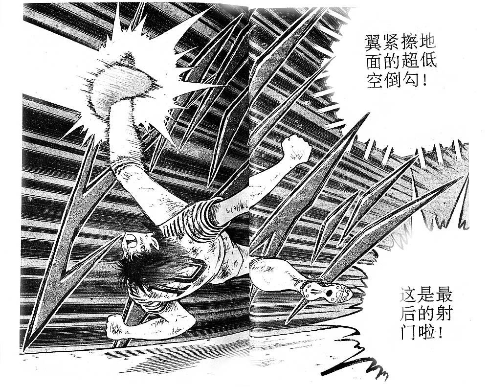 第36卷