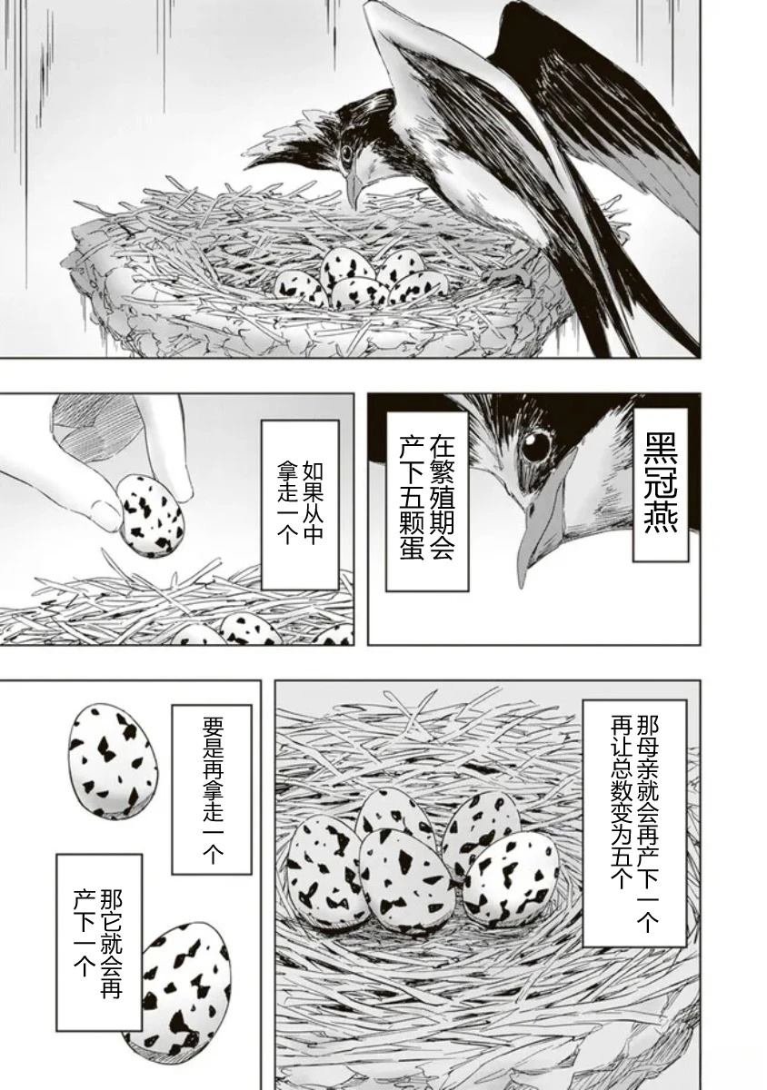 第1.1话