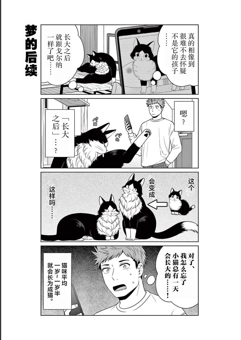 第13话 梦之小猫