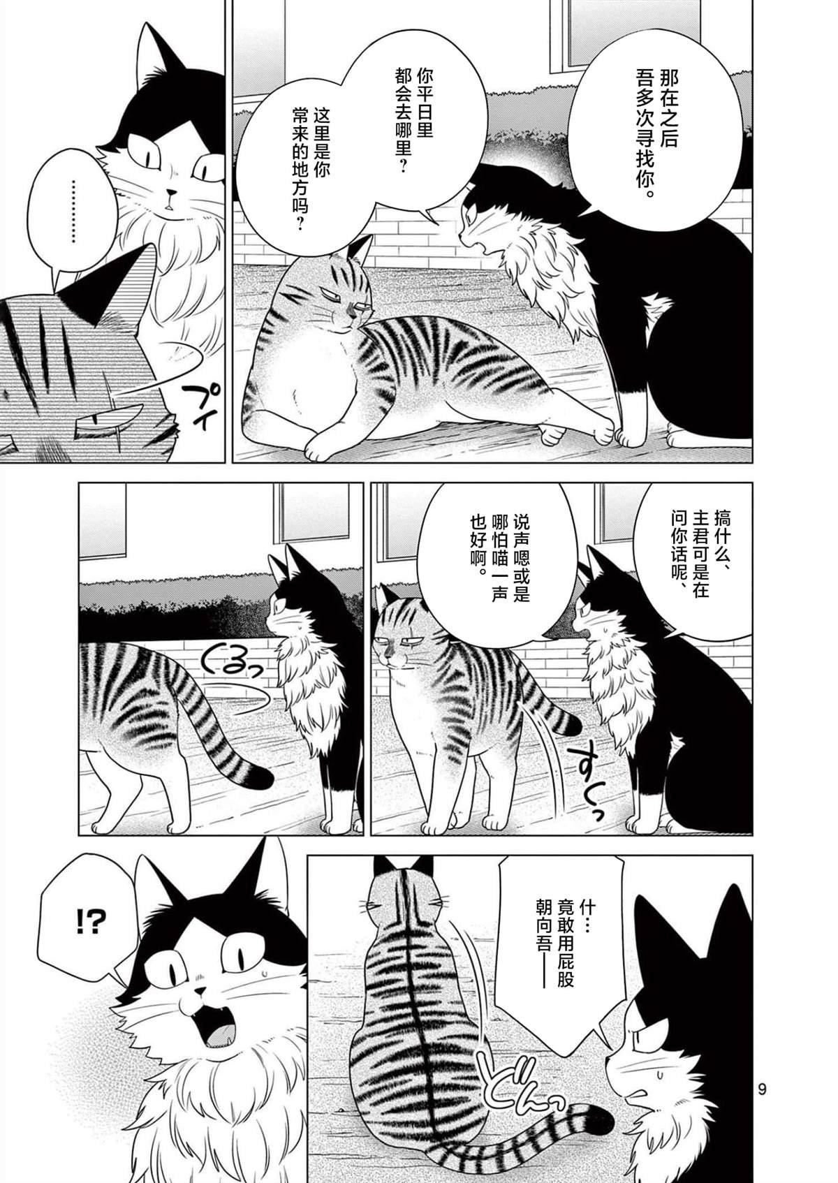 第19话 用尾巴诉说