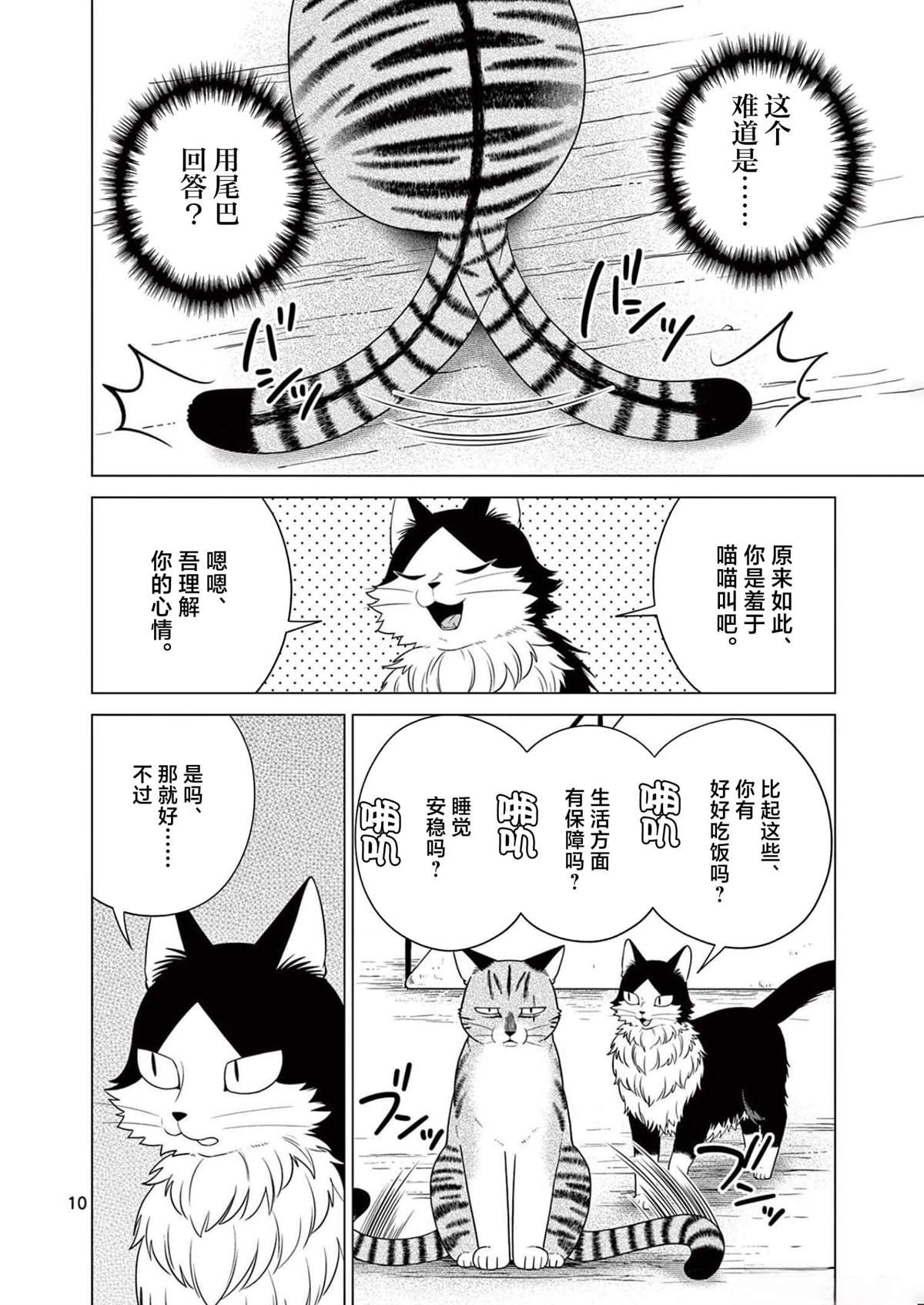 第19话 用尾巴诉说