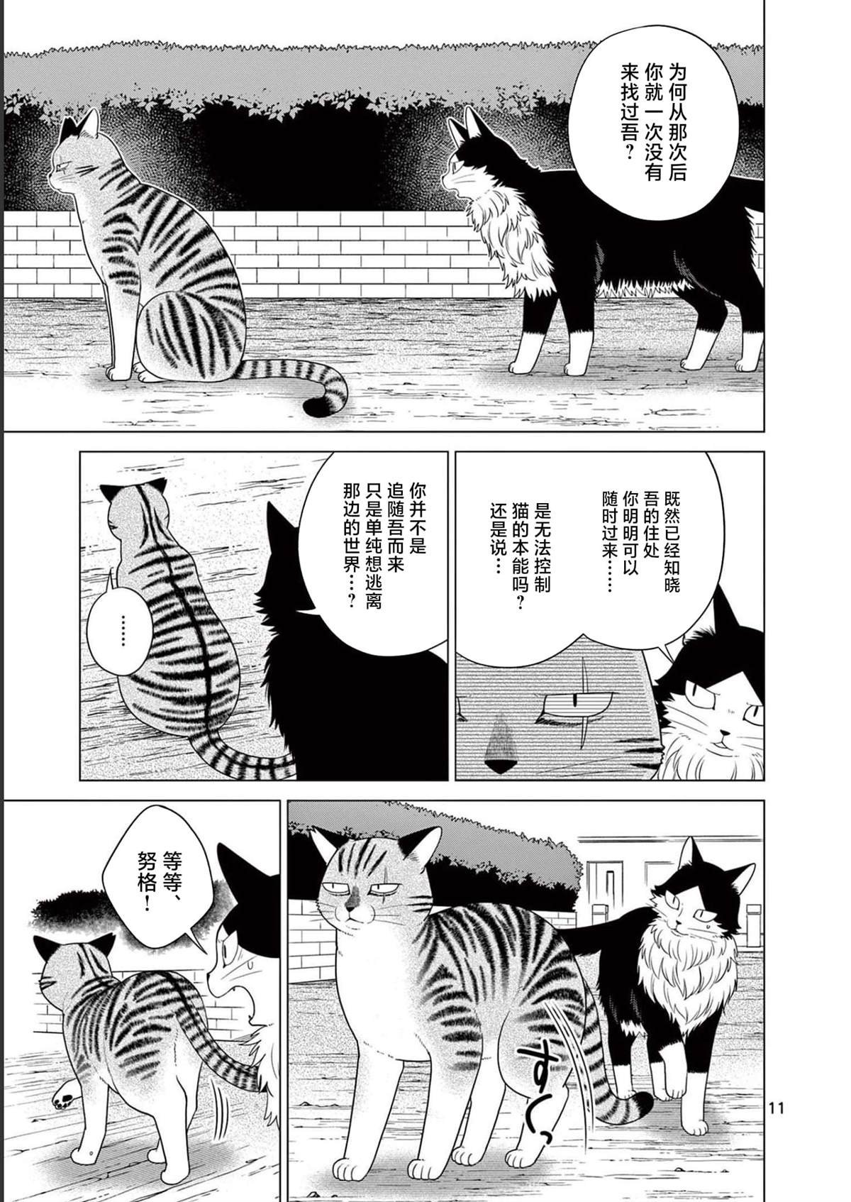 第19话 用尾巴诉说