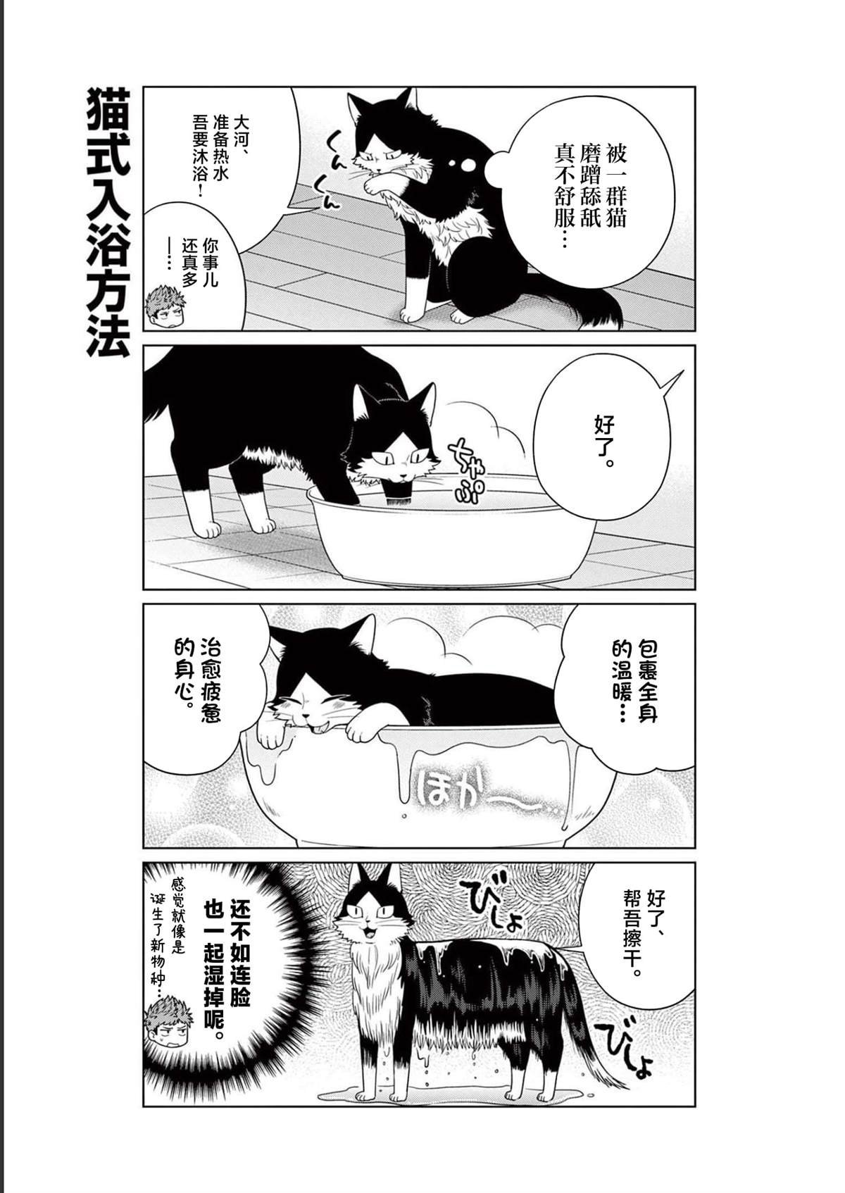 第19话 用尾巴诉说