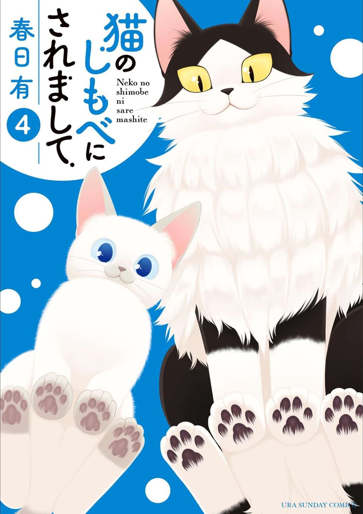 第24话 小猫和努格