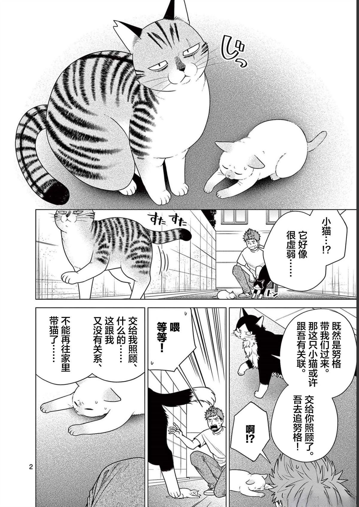 第24话 小猫和努格